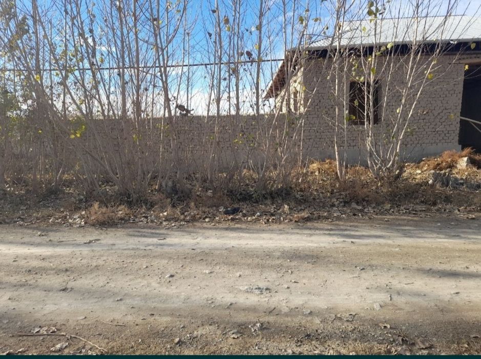 Uy sotiladi 12.4 sotix paxtachi tumani bek tuyxonasi orqasidagi ko'cha