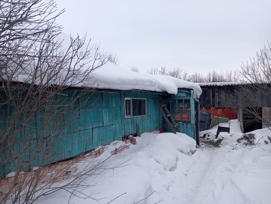 Небольшой Дом на Ботанике