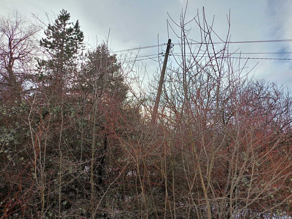 Продава се Парцел в с. Ялботина, Област София-област - 1000 кв.м за 8 €/кв.м - Снимка #20