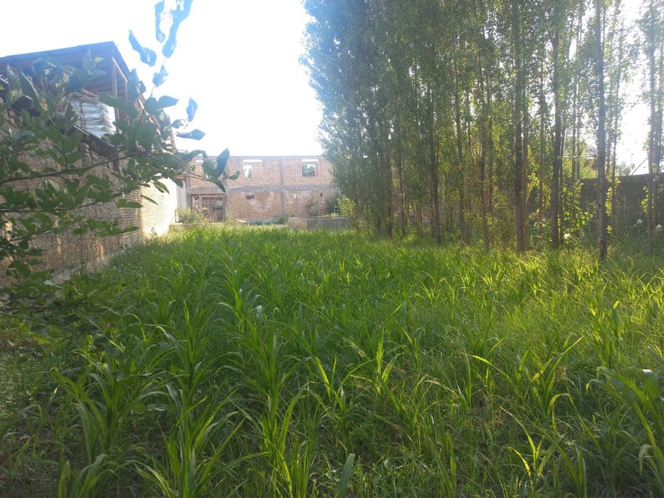 Chek sotiladi! Quruq yer sotiladi