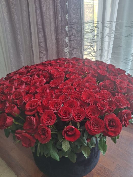 Розы красные свежие