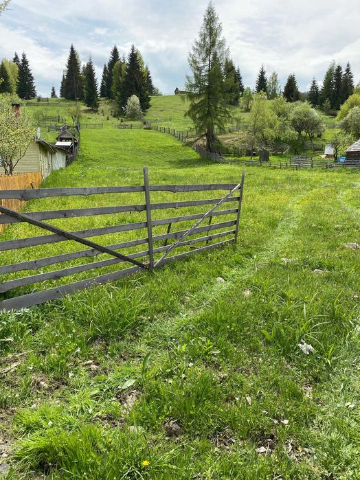 Teren de vanzare in zona de munte