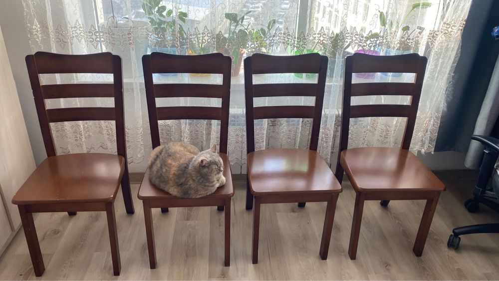 Стол со стульями