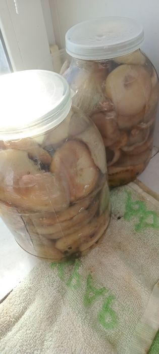 Продам грузди 2х банки