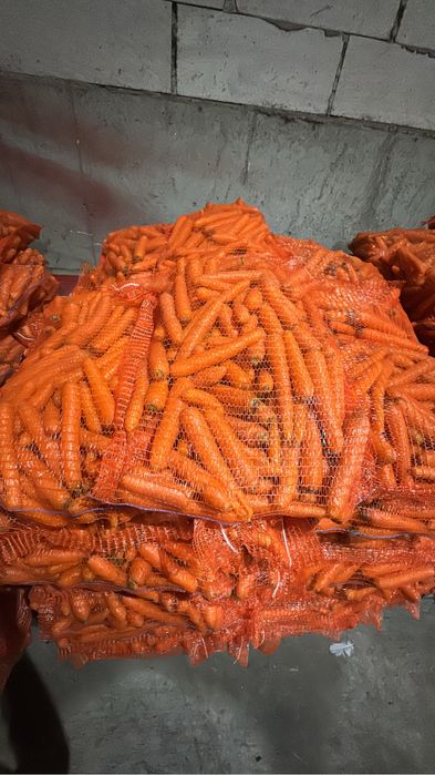 Vand Morcov Spalat Lux