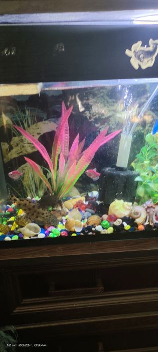Аквариум с рыбками