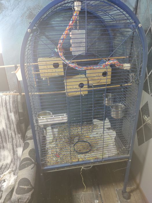 Voliera papagali mari