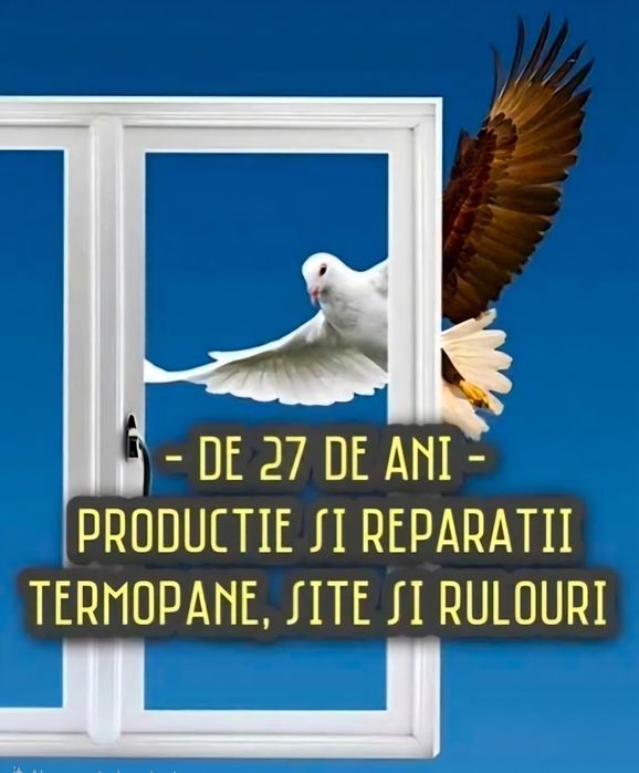 Lacatus Reparatii Usi Ferestre Termopane Timisoara Reparatii  Reglaje termopane I Tampl. PVC, plase site insecte, rulouri