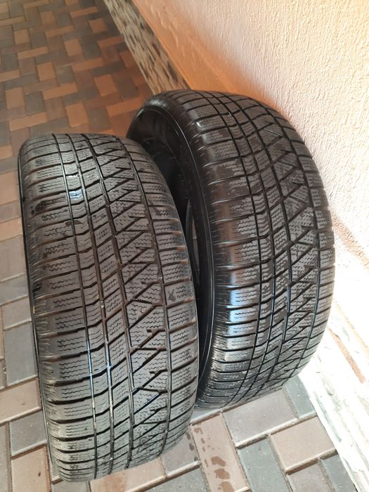 2xAnvelope iarna 255/55/R19