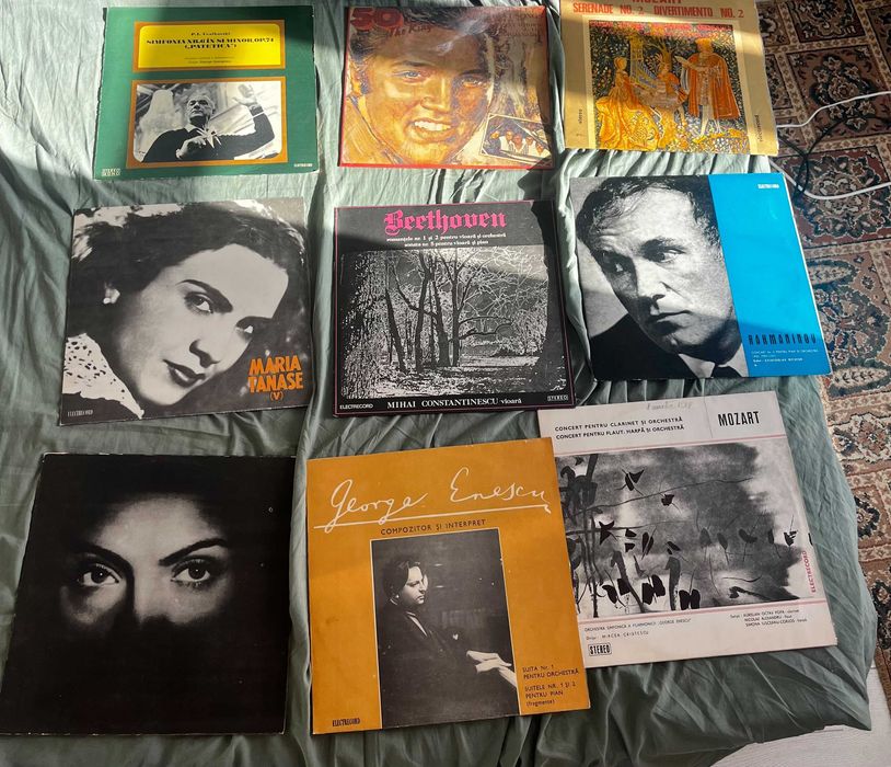 Discuri din vinilin