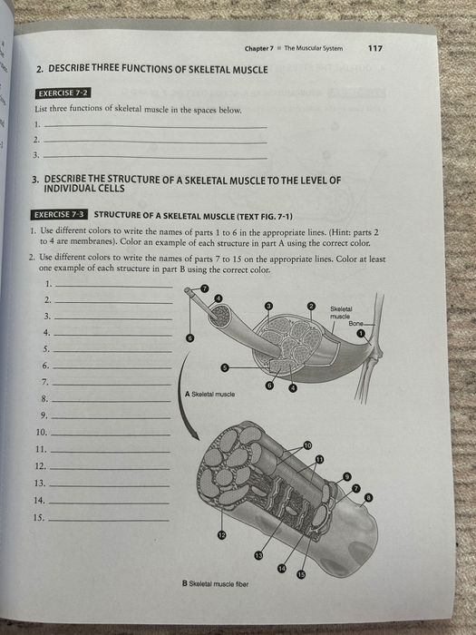 Study Guide for Memmler's Structure & Function of the Human Body