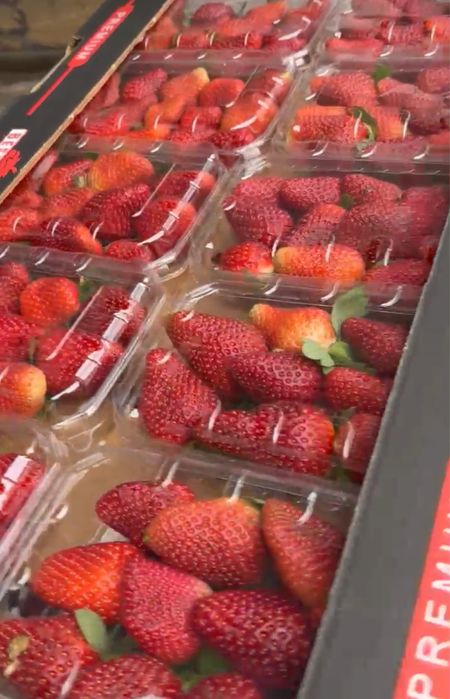 Клубника в шоколаде