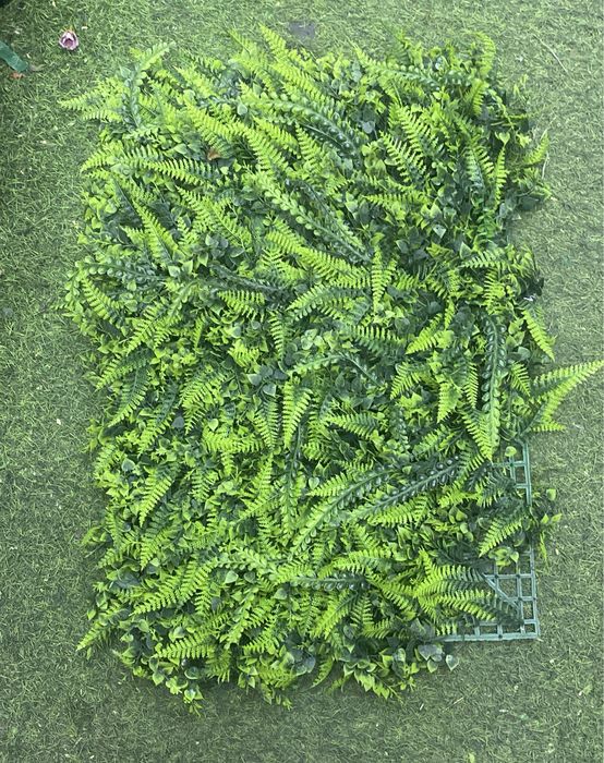 самшит , газон , искусственные коврик