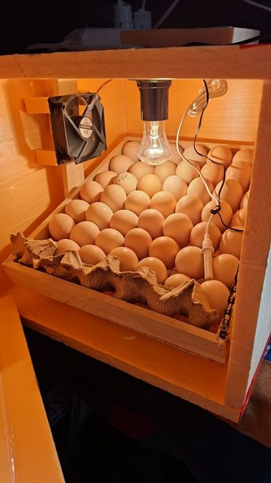 Инкубатор продам