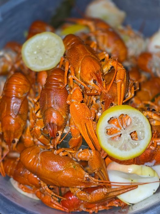 Раки живые и варёные