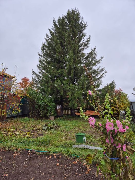 Продается дача в живописном месте