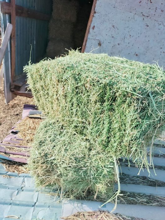 Жоңышқа Шөп Сабан Прес