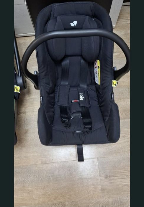 Ofer scoici Joie gratuit