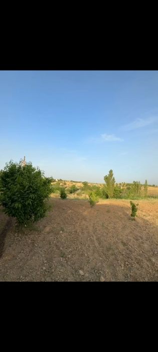 Дача Паркат Тумани Дослик 6 сотик земля