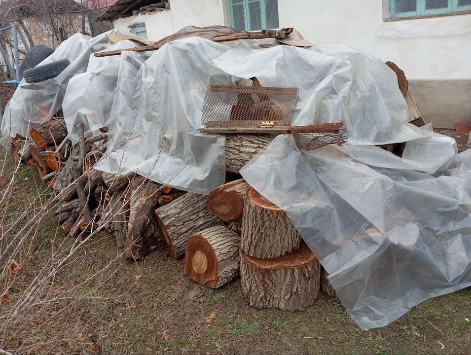 у'тин сотилади. продаётся дрова. йонг'ок, чинор, медали дарахтлар