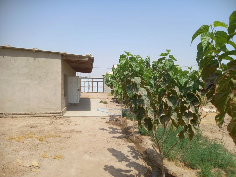 Manzil Surxondaryo viloyati Jarqo‘rg‘on tumani Qo‘shtepa Mahallasi.