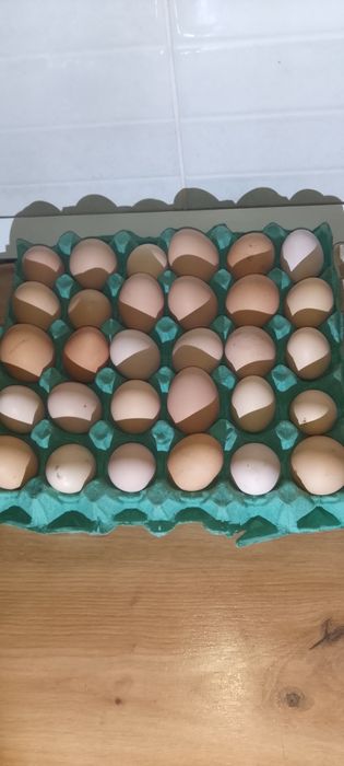 Vând ouă de găină