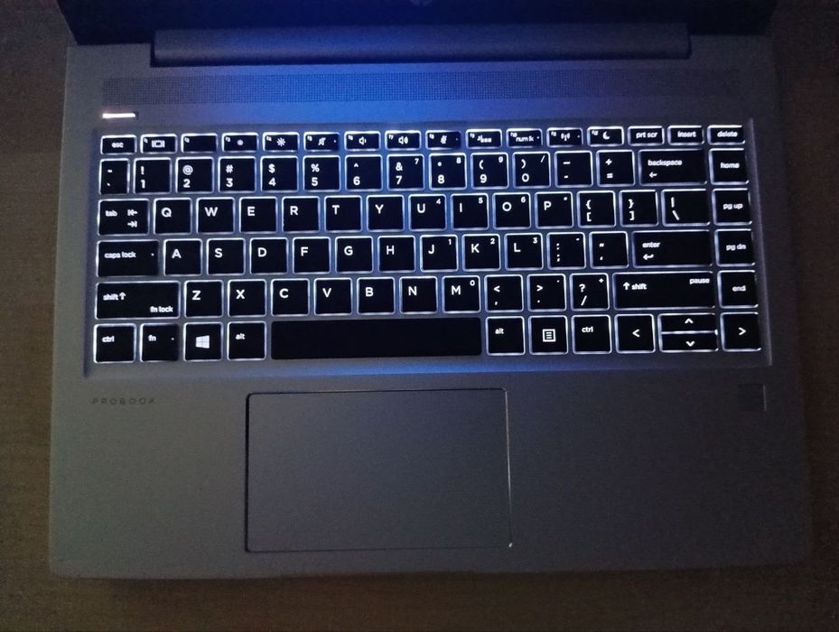 HP ProBook 445 G7 14" IPS FHD / RYZEN™ 5 4500U / 8GB DDR4 / 256GB NVMe