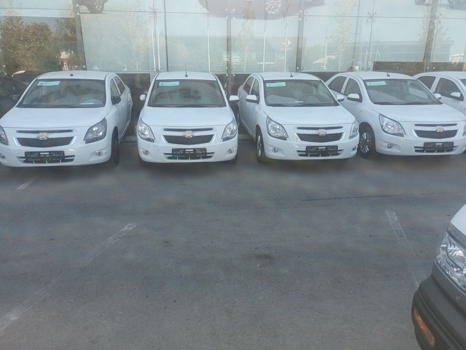 2026 style MCM aftamat full 4-pazitciya  bez