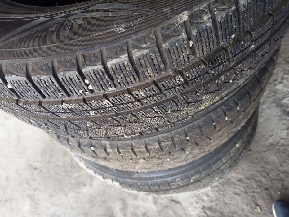 Зимние шины triangle