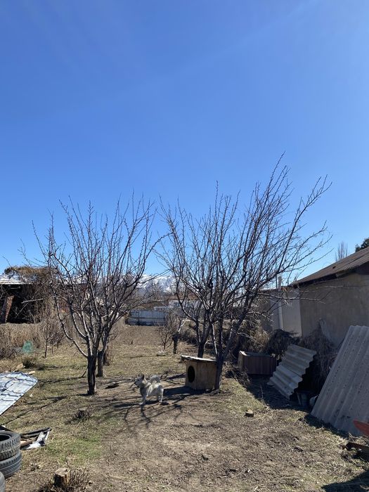 Продается Шикарный Дом