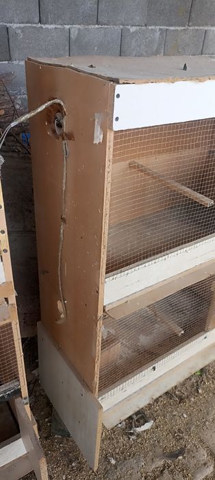 Sifatli kataklar sotiladi