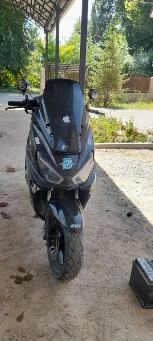 Макси папет 165сс