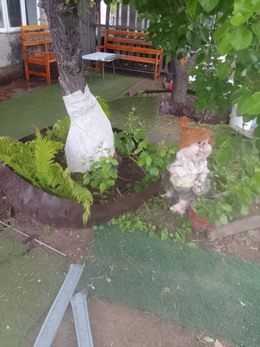 Продам дачу Сад Здоровье