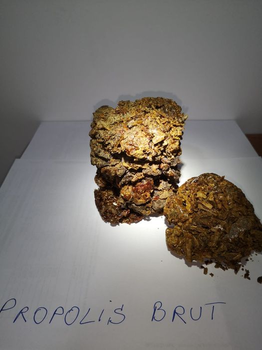 Vând propolisul brut Calitatea 1