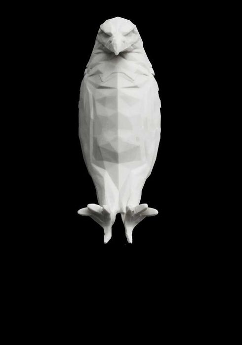 лампа "орел/сокол"; Спотове за стена, абажур за кухня/коридор