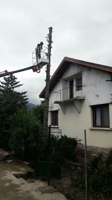 Рязане; кастрене; премахване на опасни дървета с автовишка ( вишка )!