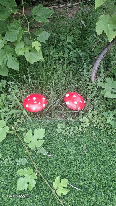 Продам из гипса грибы