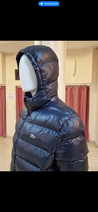 Зимняя курька Lacoste