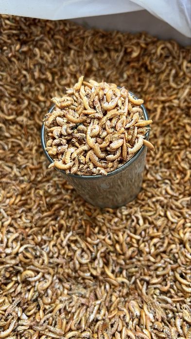 Гамарус корм для аквариумных рыб и черепашек