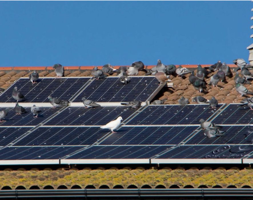 Plasa protectie antipasari panouri solare, 50 elemente de fixare, 15cm