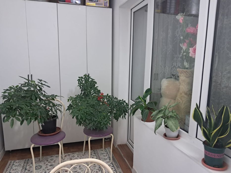 Цветы и подставка