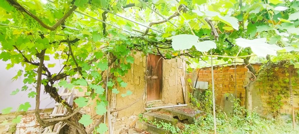 Продава се Къща в с. Прибой, Област Перник - 274 кв.м за 420 €/кв.м - Снимка #9