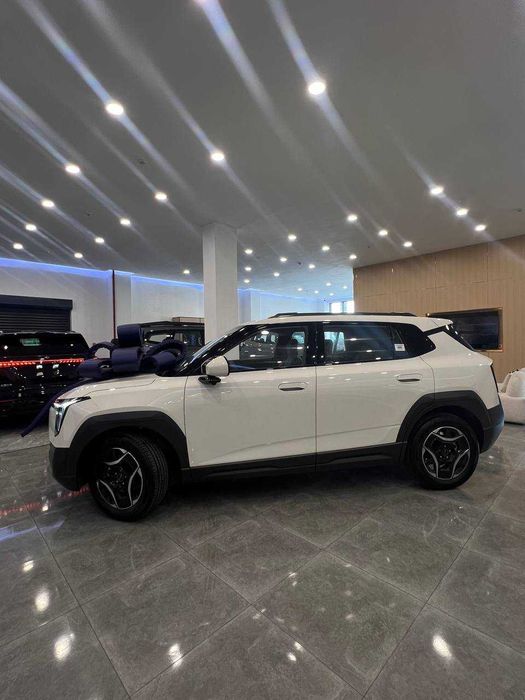 Dongfeng NAMMI 06