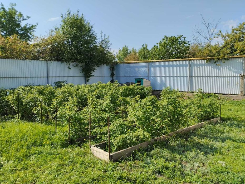 Продам участок с жилыми постройками в п.Кирпичный (Кедровая) 10 соток