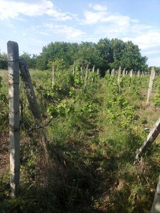 Парцел Горна махала