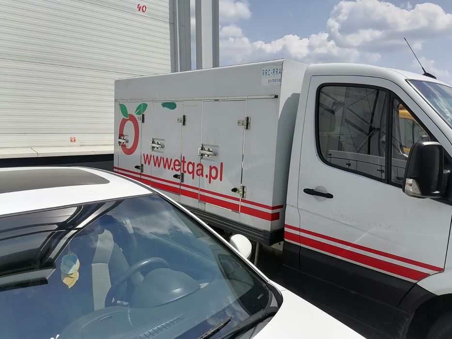 Marazelnik butkalar sotiladi