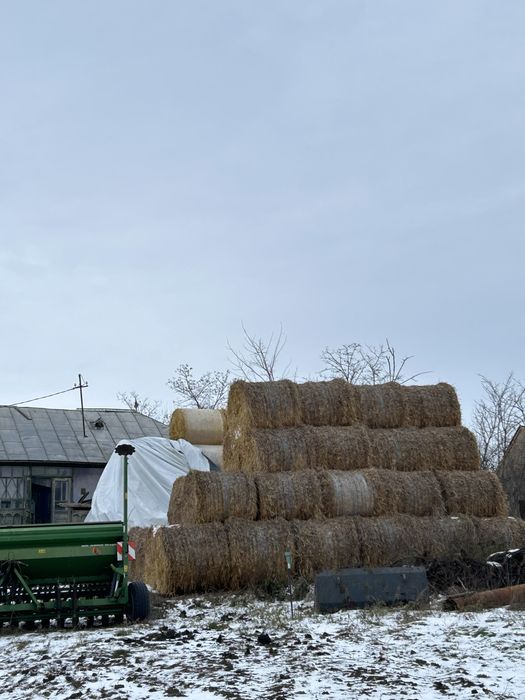 Vand baloti lucernă și paie orz
