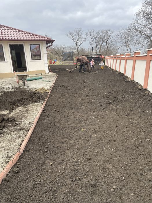 Ofer servicii Gradinarit
