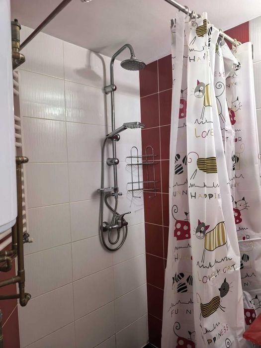 Dau in chirie , apartament curte comuna, aproape pod DECEBAL