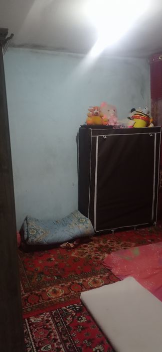 Богот центр навойи курпс